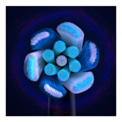 Braun Oral-B Aufsteckbürsten IO Black Ultimative Reinigung, 6 Stück -Pflege Fachgeschäft 03b214502f95cba0bcd6909ca1e87250